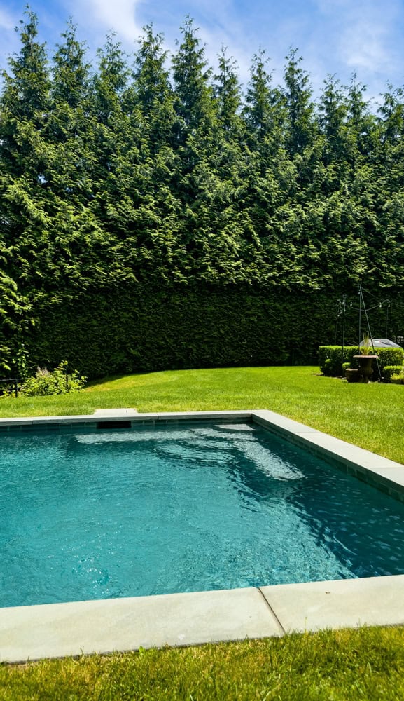 A serene backyard with a rectangular swimming pool surrounded by neatly trimmed green grass. Tall evergreen trees form a dense wall in the background under a clear blue sky.